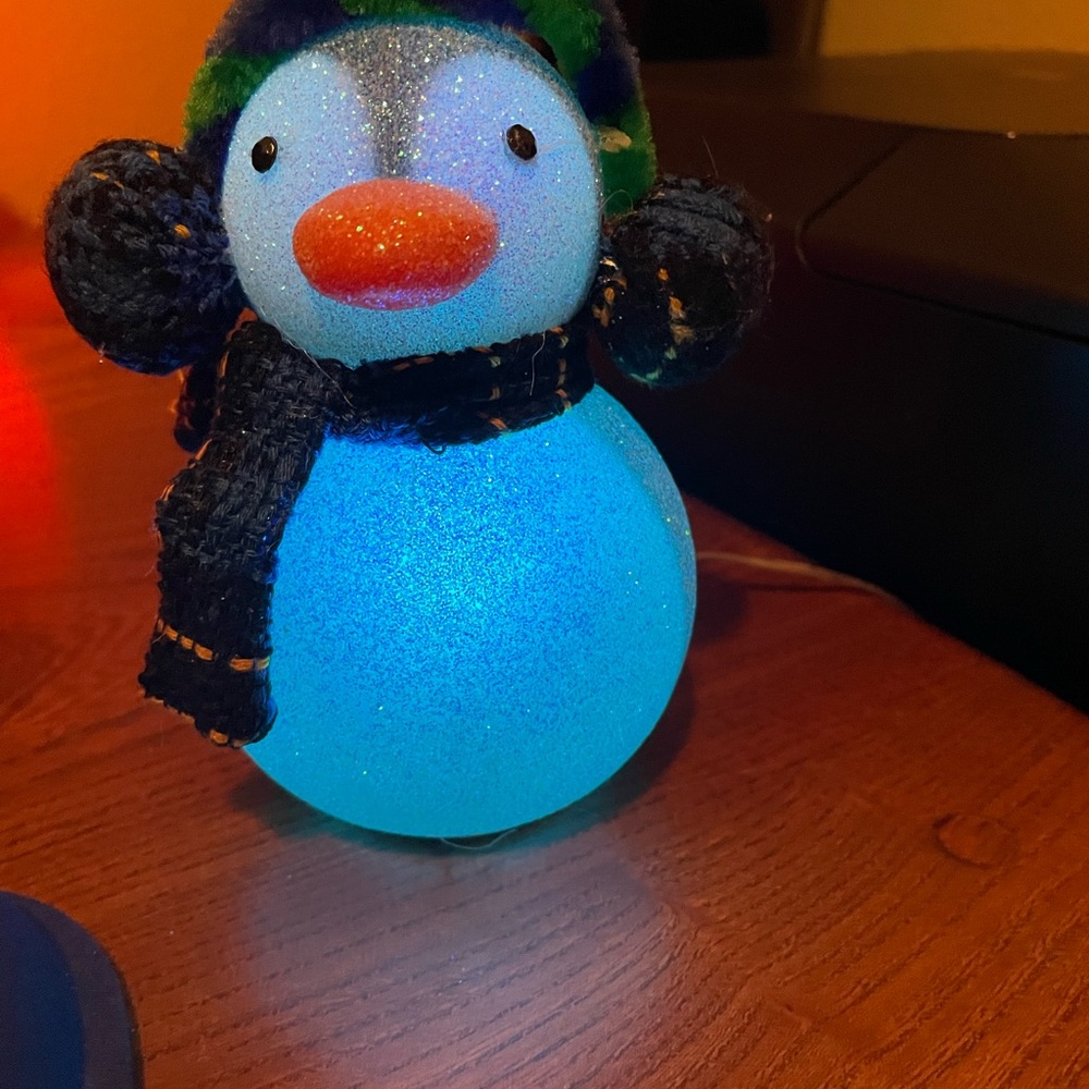 Penguin (USB) with ear muffs and scarf.  Just attached to your computer.